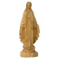 NOSSA SENHORA DAS GRAÇAS