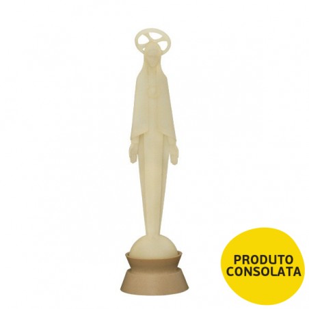 IMACULADO CORAÇÃO DE MARIA