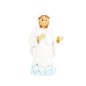 NOSSA SENHORA DE MEDJUGORJE
