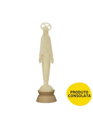 IMACULADO CORAÇÃO DE MARIA